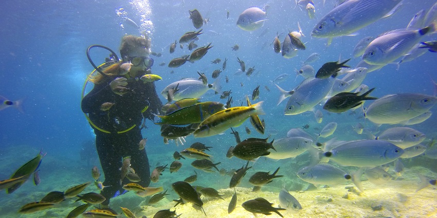 A picturesque coastal retreat with various fishes and excellent water sports activities