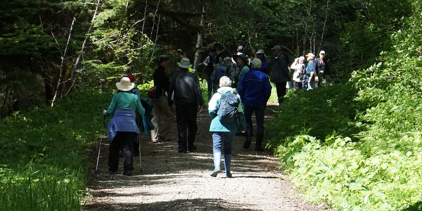 A group exploring a forest trail similar to Aride Island Nature Reserve nature walks