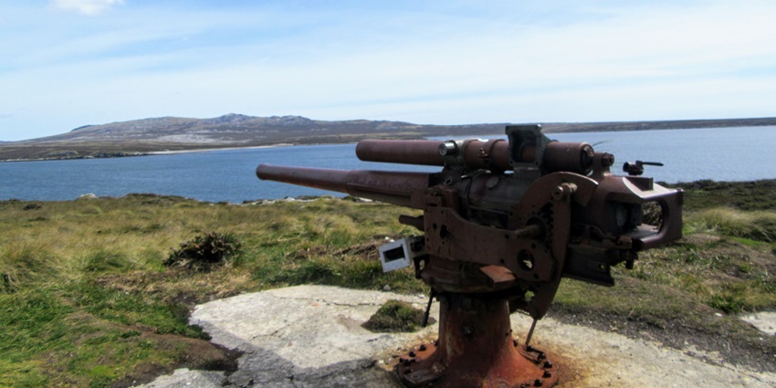Picturesque cove with penguins and scenic coastal views from the Falkland Islands.
