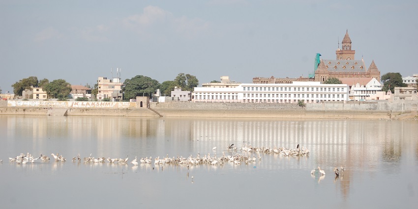An image of Hamirsar Lake in Bhuj with calm waters, surrounding buildings, and a clear sky.