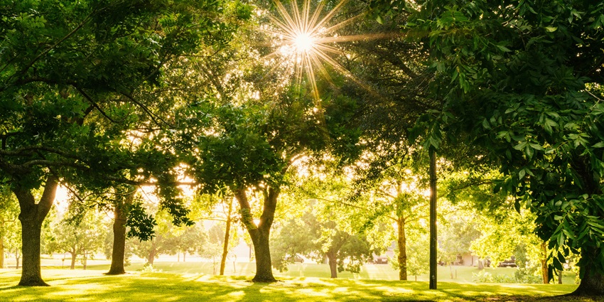 A view of Heritage Park, a green space with walking paths and historical monuments.