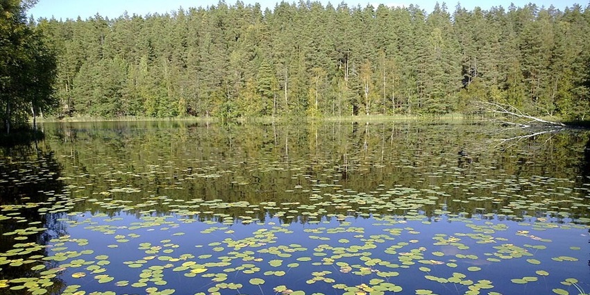 An image of a lake in the Nuuksio National Park, a famous place to visit in Finland