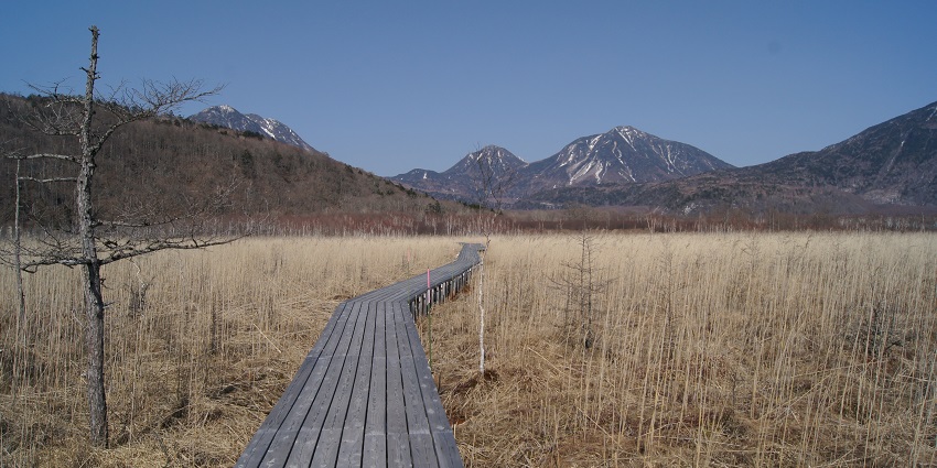 Picturesque hiking trail with panoramic views and rich biodiversity, located in Nikko National Park.