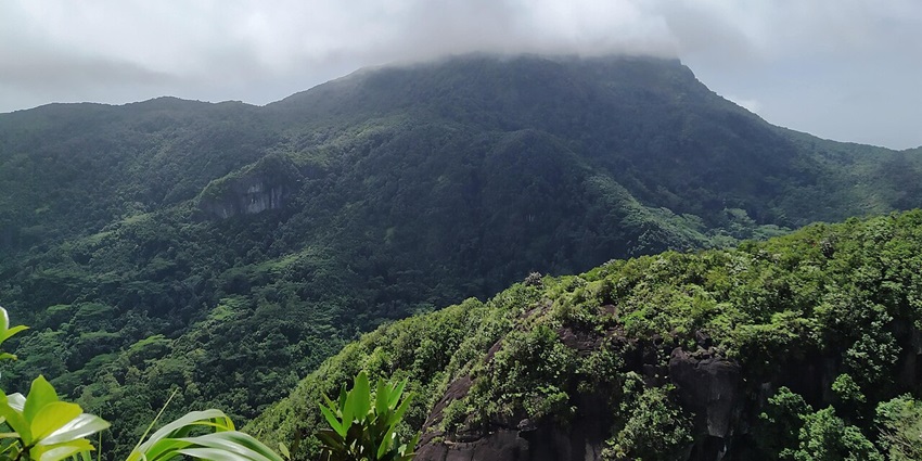 Things to do in Seychelles include hiking to the summit of Morne Seychellois amidst its rainforest