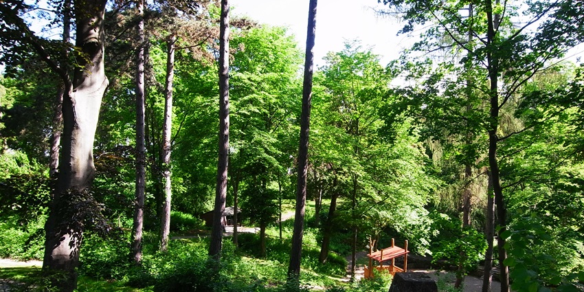 Inside the forests of Karlshöhe, hiking here is one of the adventurous things to do in Stuttgart.