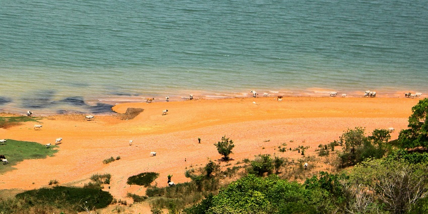 Hirakud reservoir from a hill with animals roaming in the sandy shores of the water