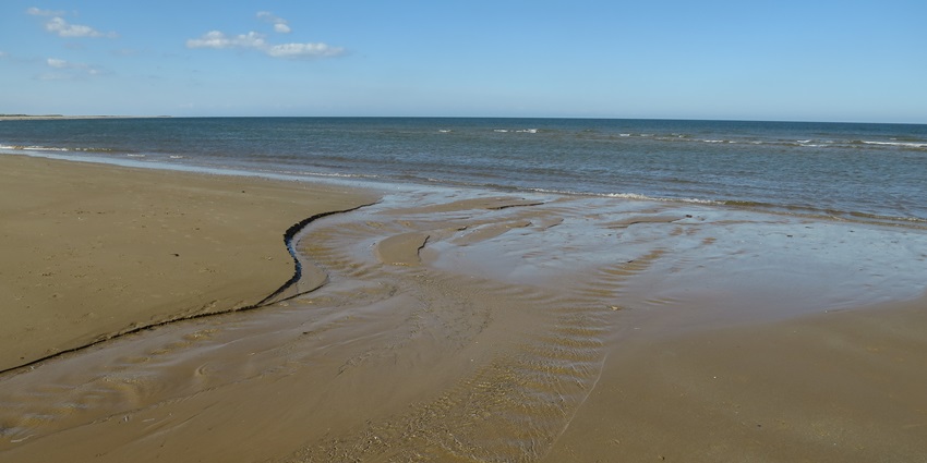 A serene, untouched beach with stunning dunes and miles of unspoiled sandy coastline.