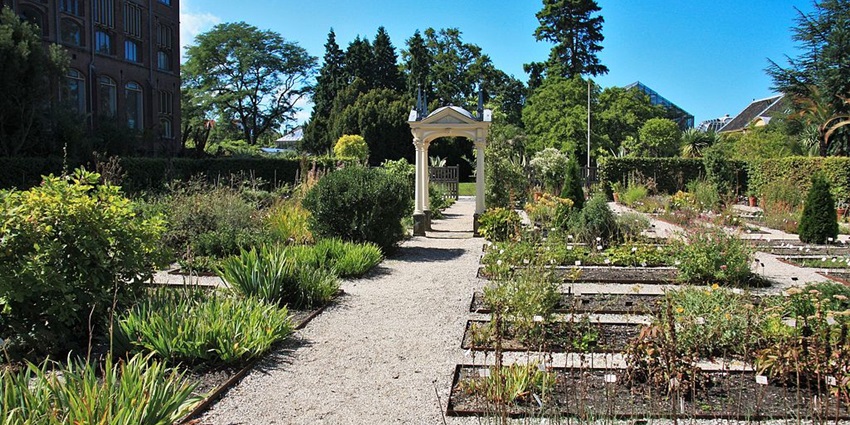 Places to visit for Valentine's Day in Amsterdam include a lush garden with diverse plant species