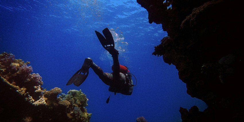 Image of a scuba diver, diving into the ocean in a black suit