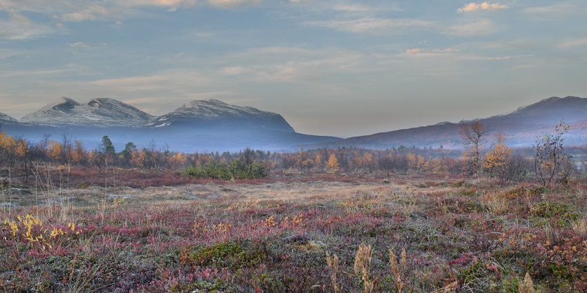 An image showing the natural beauty of Abisko National Park, with scenic landscapes in Sweden