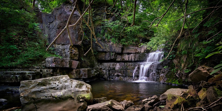 A picture showing a winding road leading through dense greenery toward the Ghagra Waterfall.