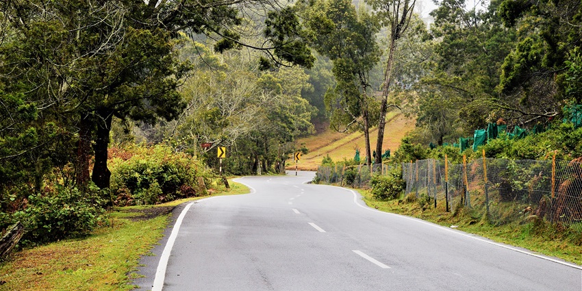 An image of the Hyderabad to Araku road surrounded by dense trees , one of the best road trips in South India.