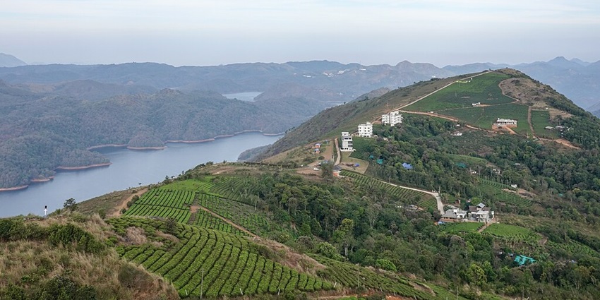 Aerial view of a mountain ridge with terraced tea plantations, overlooking a winding lake