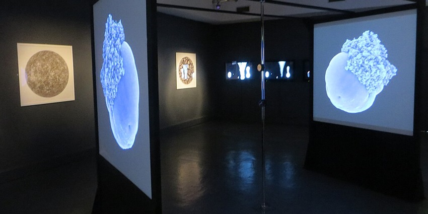 Experience a unique multi-sensory digital art exhibit