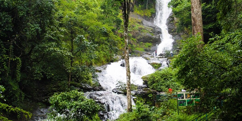 An image of Iruppu Falls, covered in dense green forest, which is one of the best waterfalls in South India