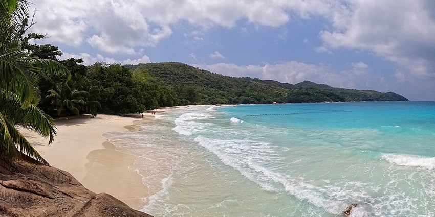 Turquoise ocean waves rolling onto a white sand beach lined with lush green trees