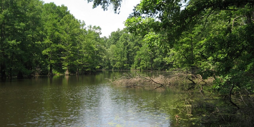 An image of Jail Lake with calm waters and surrounding greenery.