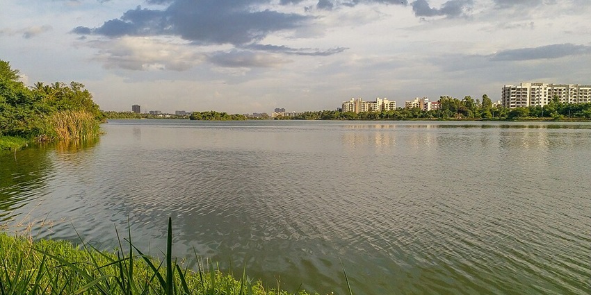 It shows the image of beautiful Jakkur Lake with its water body surrounded by greenery.