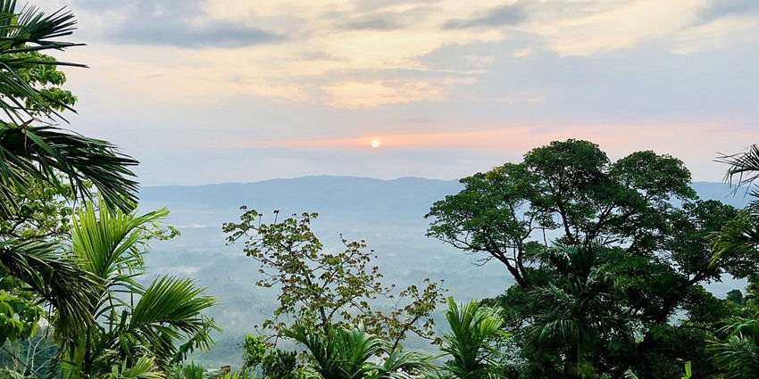 An image of the Jampui Hills covered with dense green forest with a peaceful environment.