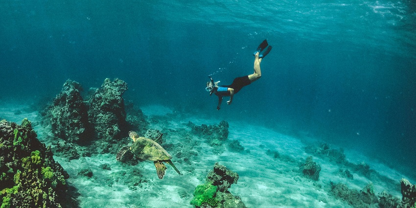 Scuba diving in Cuba offers coral reefs, diverse marine life, and pristine underwater landscapes