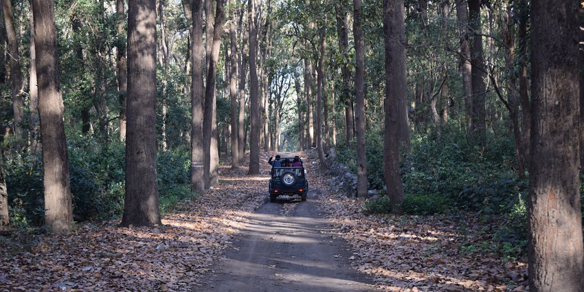 Explore Jhirna Range - one of the best places to visit in Jim Corbett, Uttarakhand.