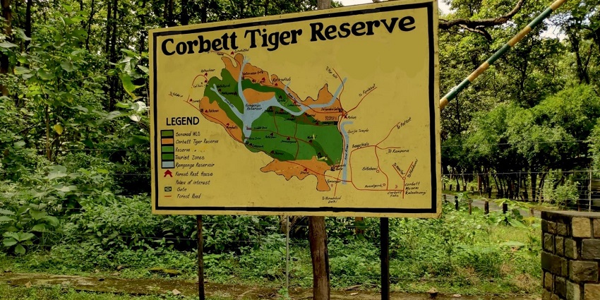 Jim Corbett National Park is one of the best places to visit near Ramnagar.