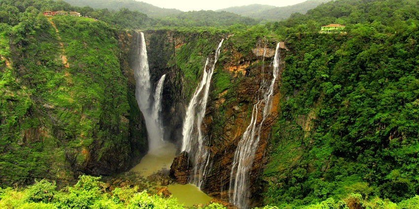 An image of Jog Falls, covered in dense greenery, one of the biggest waterfalls in South India