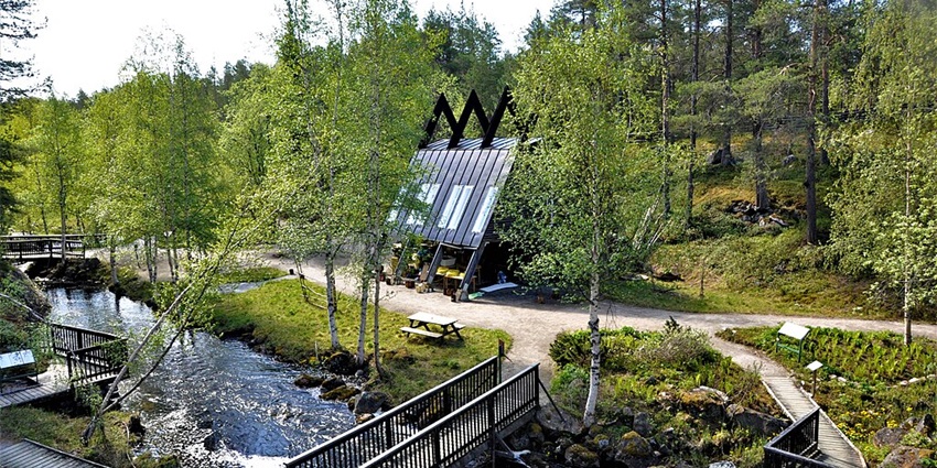 An image of Jokkmokks Fjällträdgård, a famous tourist attraction near Sarek National Park.