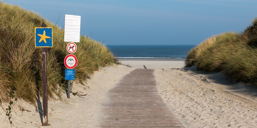 An image showing a mesmerising beach access path in Juist, leading to a calm sandy shore.