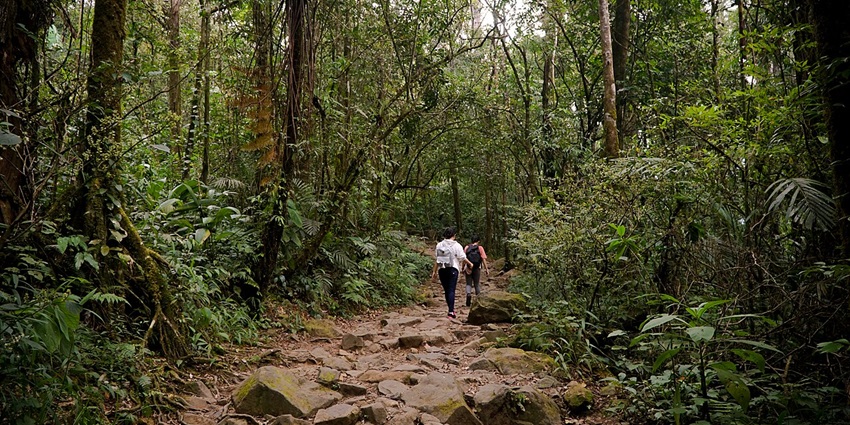 From dense rainforests to cloud forests, each trail offers unique flora and fauna.