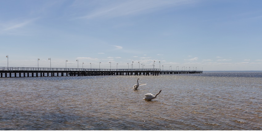 Beautiful snapshot of the Jurata Beach from the Hel Peninsula in Poland