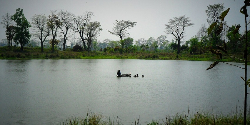 A man on a boat with others swimming in the lake at Daruabari surrounded by greenery