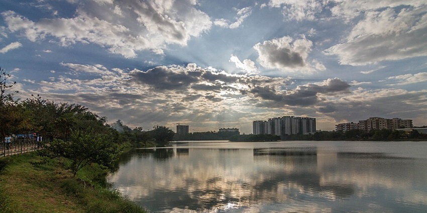 A scenic vantage point at Kaikondrahalli Lake experiencing the diverse aquatic wildlife and nature.
