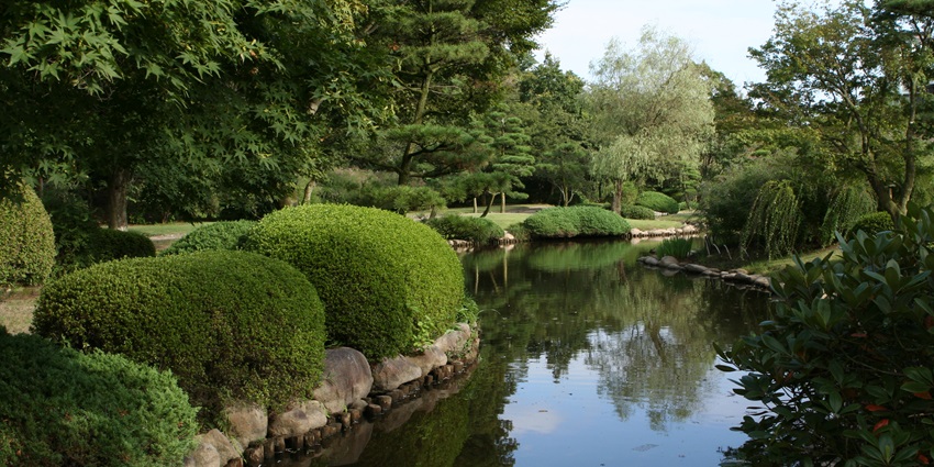 Stunning landscaped gardens featuring seasonal flowers and tranquil pathways.