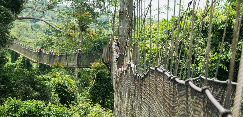 Tourists walk carefully on the thrilling Canopy Walkway at Kakum National Park in Ghana