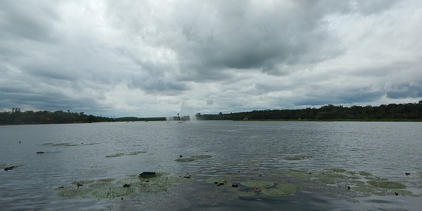 Kanjia Lake with multiple lily pads on the lake, distant water fountains and green shores