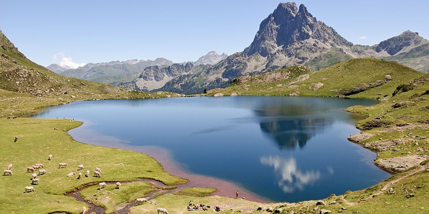 A herd of cattle graze near a beautiful lake that sits amid huge mountains