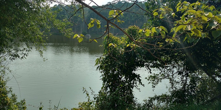 One of the lotus lakes in Kerala is the peaceful Karalad Lake in Wayanad, ideal for nature walks and boating.