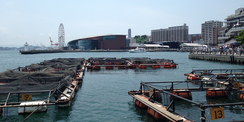 An image of the Karato Port is a port in Japan that is located in the fishing village