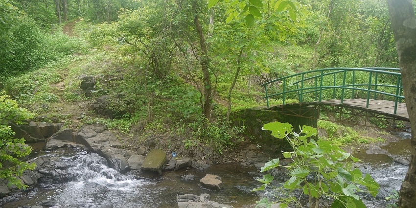 A picture of Karnala Bird Sanctuary, one of the best places to visit near Kharghar