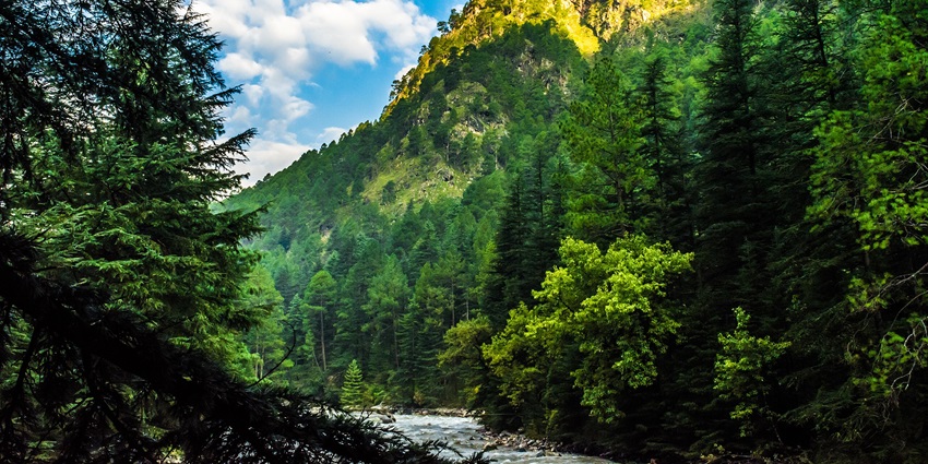 A picture of a scenic hill station in Himachal Pradesh, surrounded by lush greenery