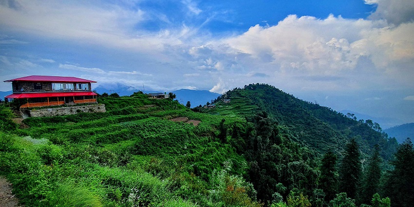 Kaudia Forest has lush greenery and a touch of magical serenity there