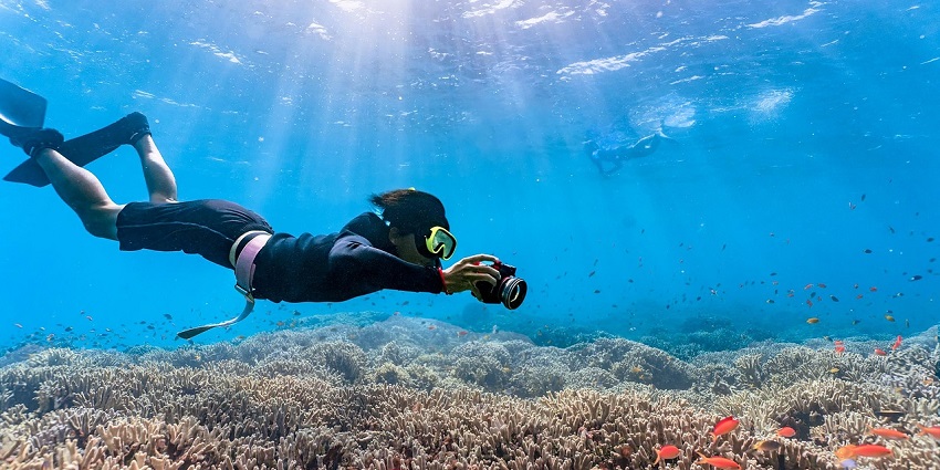 A person snorkelling near the school of clown fish, similar to snorkelling in Kavaratti
