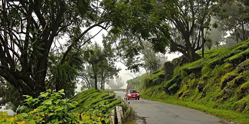 An image of Munnar, a major tourist attraction in Kerala, one of the places to see in September
