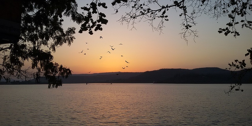 A widely known lake in Pune with migratory birds and a green scene