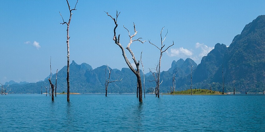 A peaceful view of Khidkali Lake with a palm tree in the background.