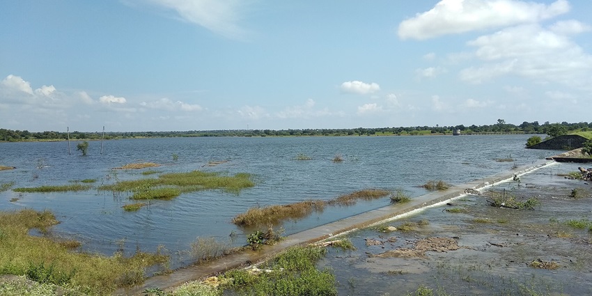 Lake with a low overflow dam and green water grass growing on the surface of the lake