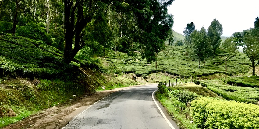An image of a clear road leading to Munnar from Kochi, with green bushes and trees on the side, under the sun.