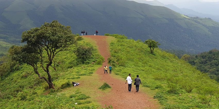 An image of a trekking trail on Kodachiri, one of the places for trekking in Western Ghats