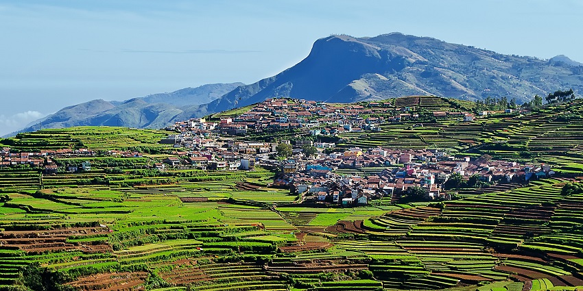 An amazing view of the terrace farming area in Kodaikanal.